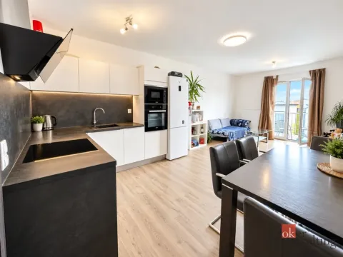 Prodej bytu 2+kk, Zbůch, U Trati, 48 m2