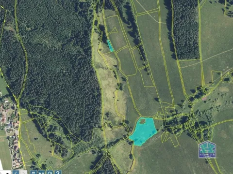 Prodej louky, Lesná - Stará Knížecí Huť, 9771 m2