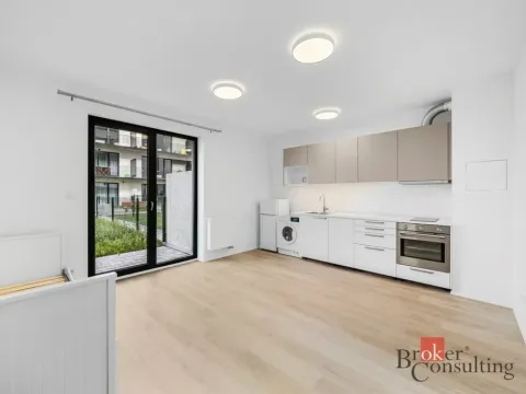 Pronájem bytu 1+kk, Plzeň - Jižní Předměstí, Železná, 28 m2