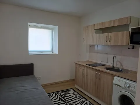Pronájem bytu 1+kk, Čelákovice - Záluží, Vořechovka, 24 m2