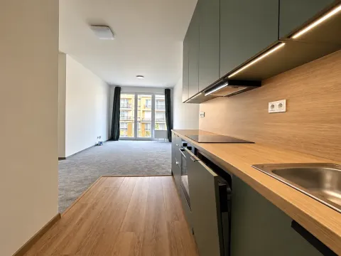 Pronájem bytu 2+kk, Praha - Vysočany, Gerstelova, 62 m2