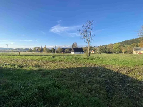 Prodej pozemku, Králíky - Horní Lipka, 11405 m2