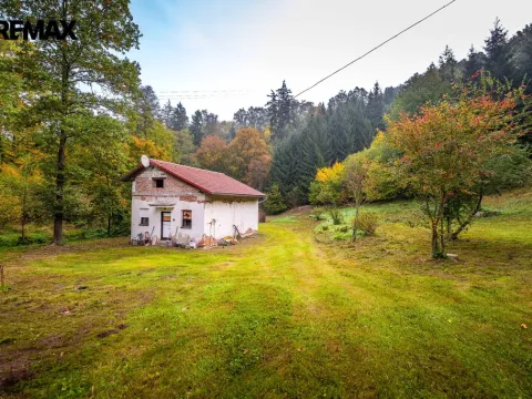 Prodej pozemku pro bydlení, Všemyslice, 4931 m2