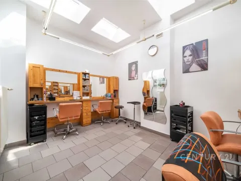 Pronájem obchodního prostoru, Plzeň, Bezručova, 55 m2