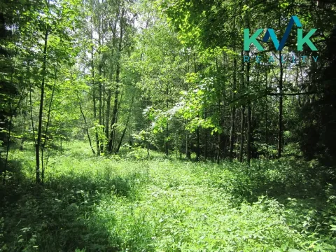 Prodej pozemku, Nejdek, 3489 m2