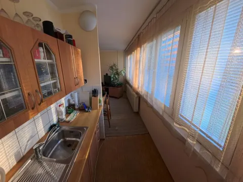 Prodej bytu 1+kk, Hradec Králové - Slezské Předměstí, Severní, 27 m2