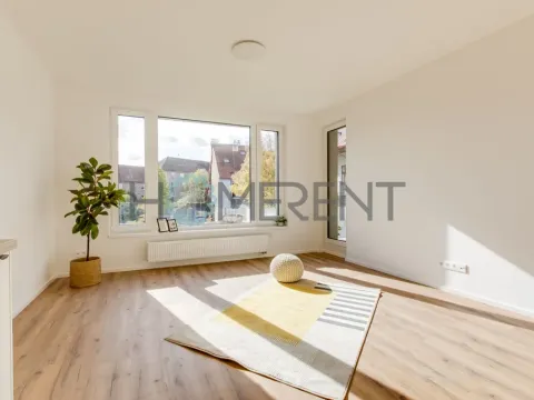 Pronájem bytu 2+kk, Praha - Libeň, Zenklova, 54 m2
