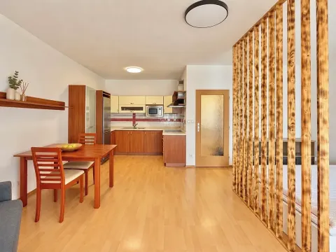 Pronájem bytu 1+kk, Brno, Bělohorská, 41 m2