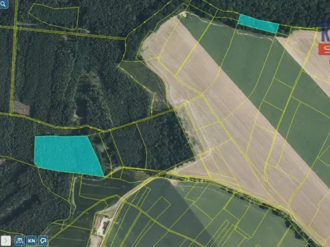 Prodej lesa, Bačalky - Lično, 26180 m2