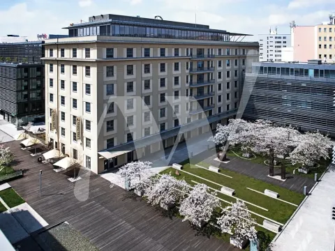 Pronájem kanceláře, Praha - Holešovice, Jankovcova, 653 m2