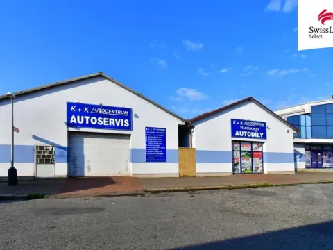 Pronájem obchodního prostoru, Kolín - Kolín V, K Raškovci, 800 m2